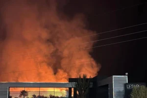 Buscan a los responsables de los incendios en el Parque de la Ciudad