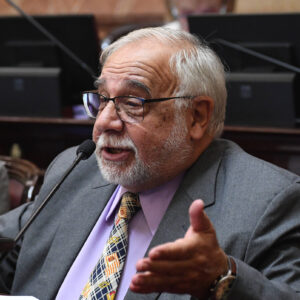 Ley de Tierras: los votos en el Senado para derogarla