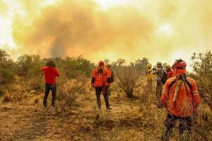 Ley de Manejo del Fuego: sin votos y bajo presión del COFEMA