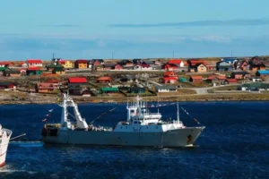 Malvinas: denuncian por contrabando a pesqueras con licencias británicas
