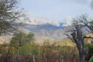 Verano en La Rioja: calor extremo y tormentas severas